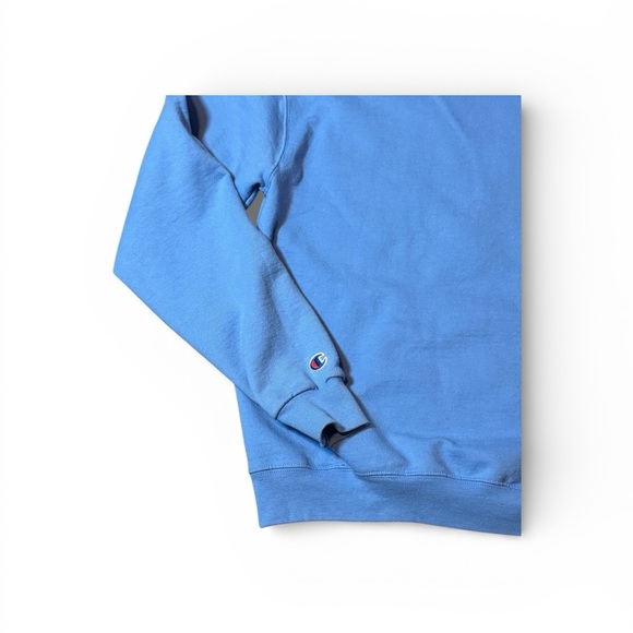 Champion 10th Mountain Sky Blue Graphic Hoodie Mens Size Medium - Picture 9 of 15